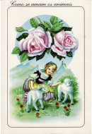 Postais/animais 0055