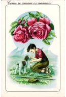 Postais/animais 0056