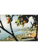 Postais/madeira 0140