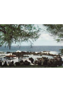 Postais/madeira 0146