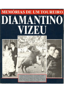 vizer_diamantino