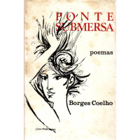 Livros/Acervo/B/borgescoelhoponte