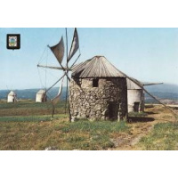 Postais/bussaco 0135