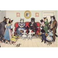 Postais/gatos 0043