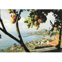 Postais/madeira 0140