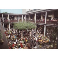 Postais/madeira 0141