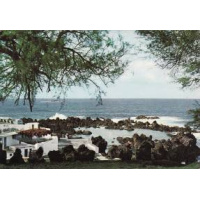 Postais/madeira 0146