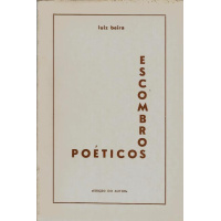 beira-luiz-escombros