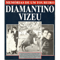 vizer_diamantino